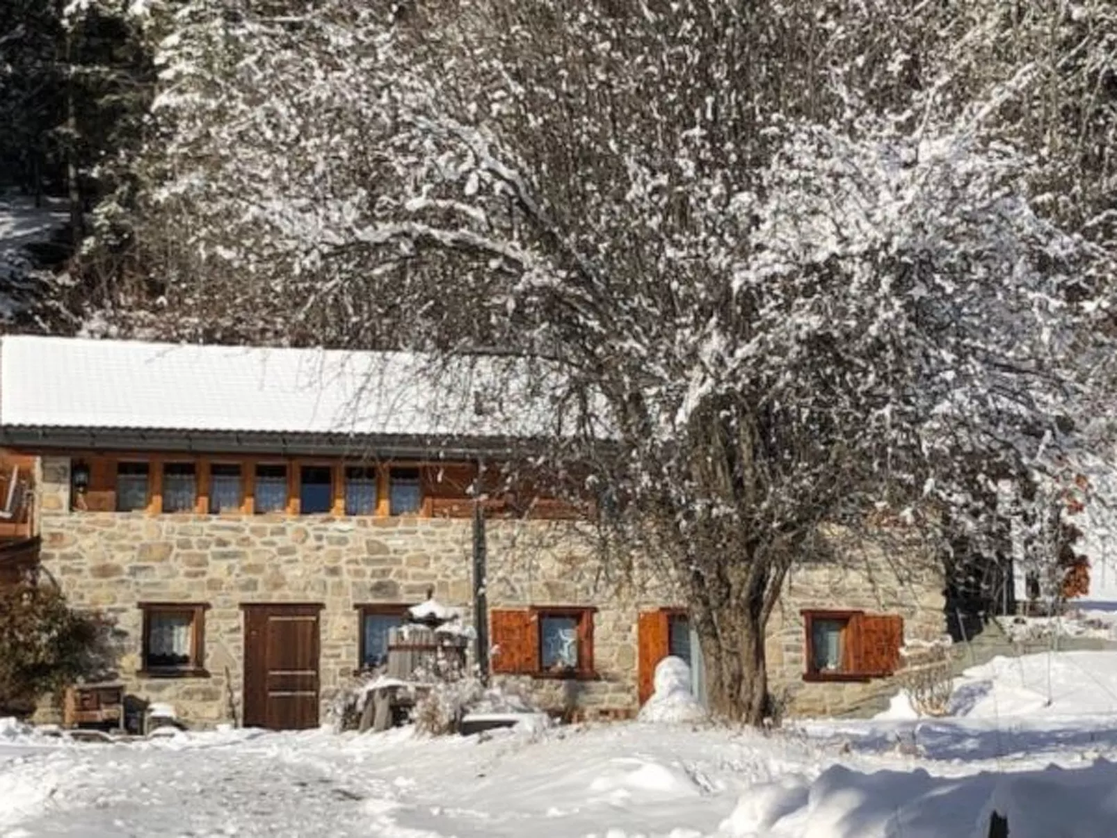 A l'Orée du Bisse - Anzère - Outside