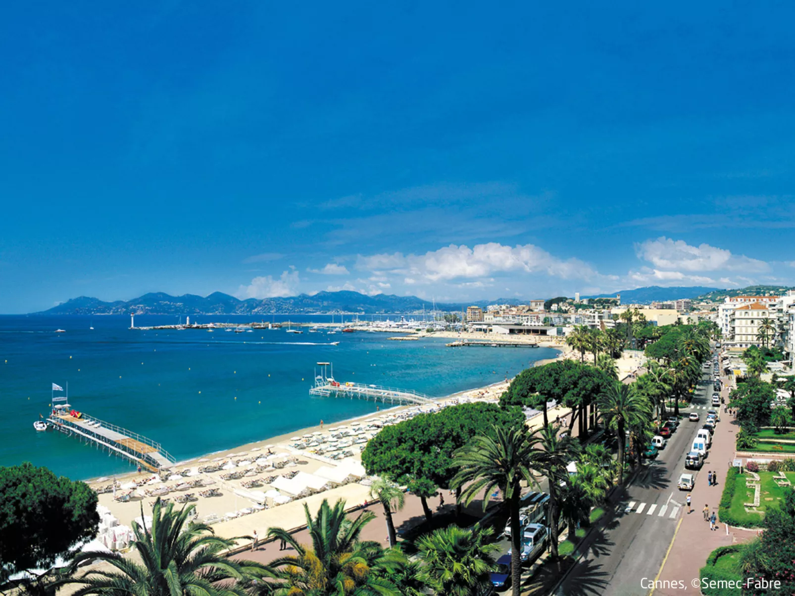 Luxury 1 bedroom  Jardin Croisette 265 - Environnement