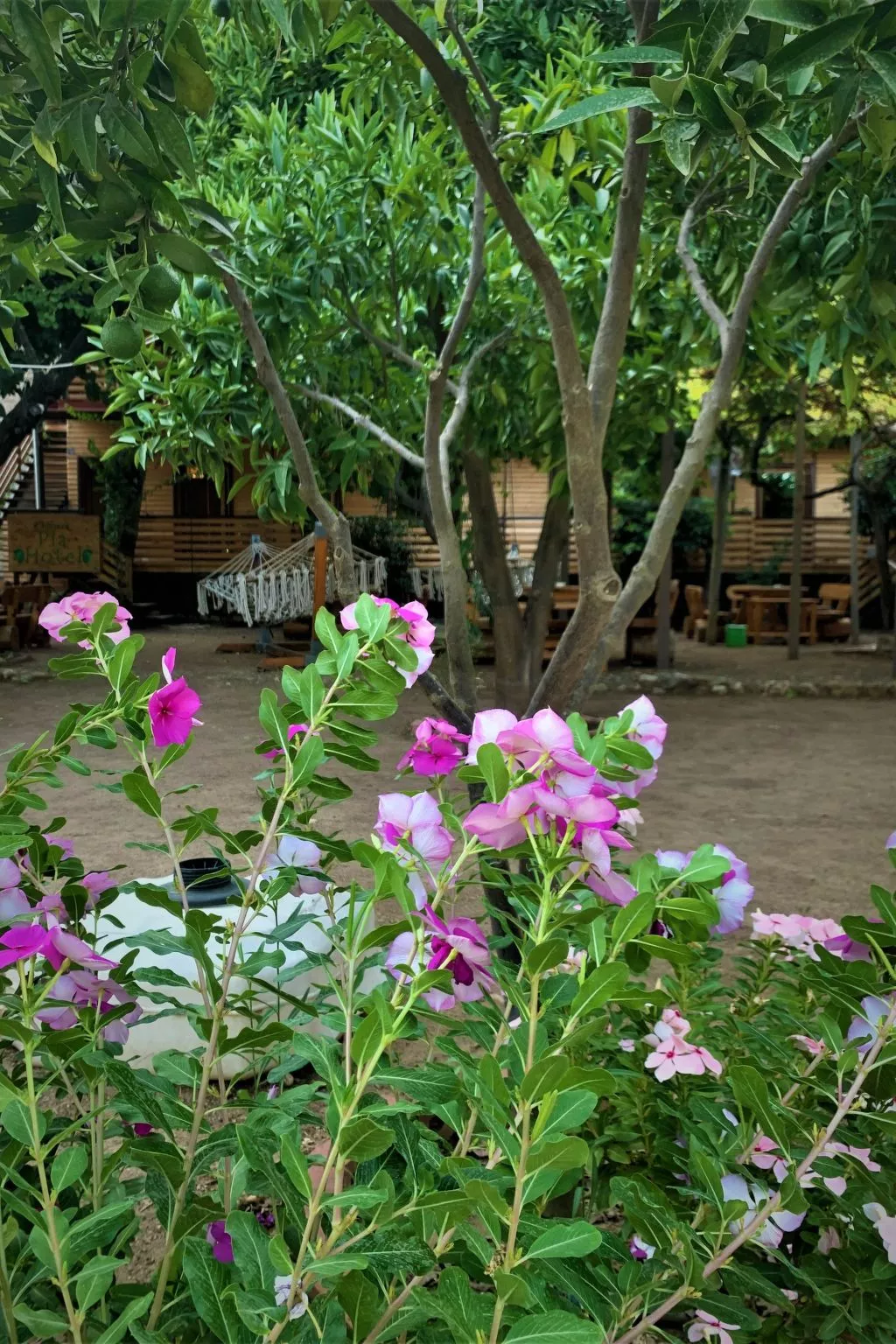 Luxuriöse Duplex-Wohnungen in Cirali - Dehors