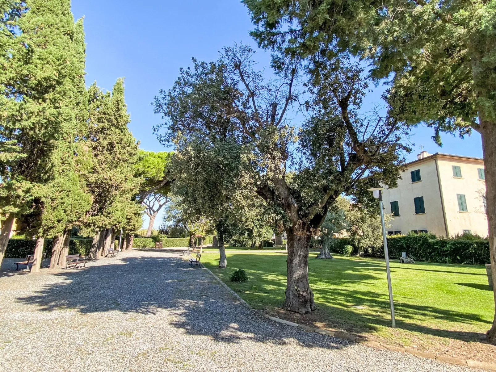 Cinquantina - Draußen