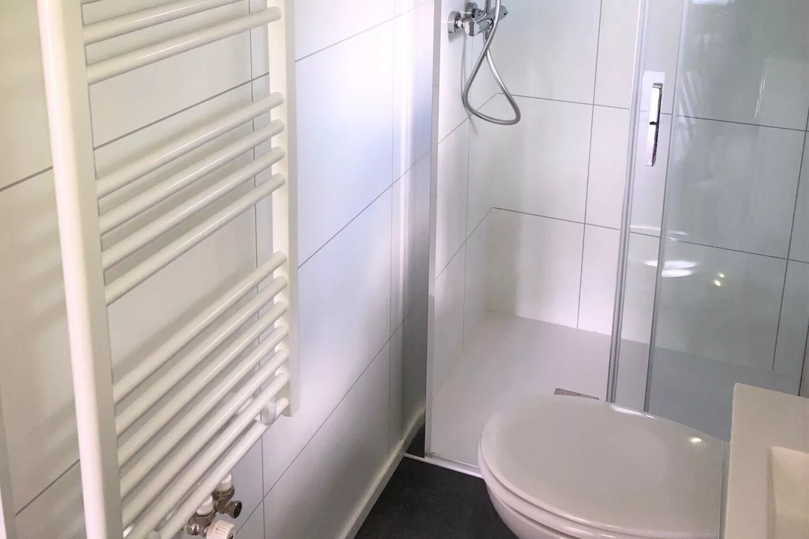 Recreatiepark Rhederlaagse Meren 20-Bathroom
