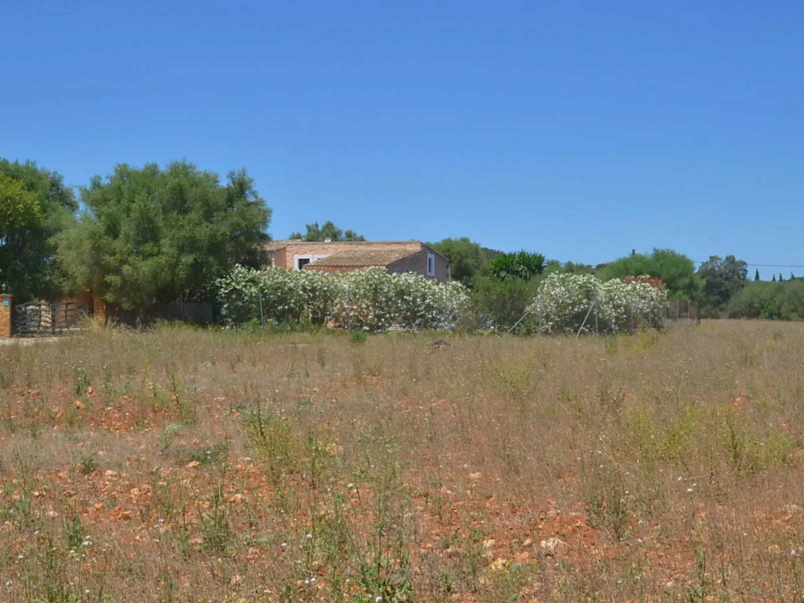 Wunderschönes Landhaus im Landhausstil mit Pool am Ortsrand von Felanitx - Draußen