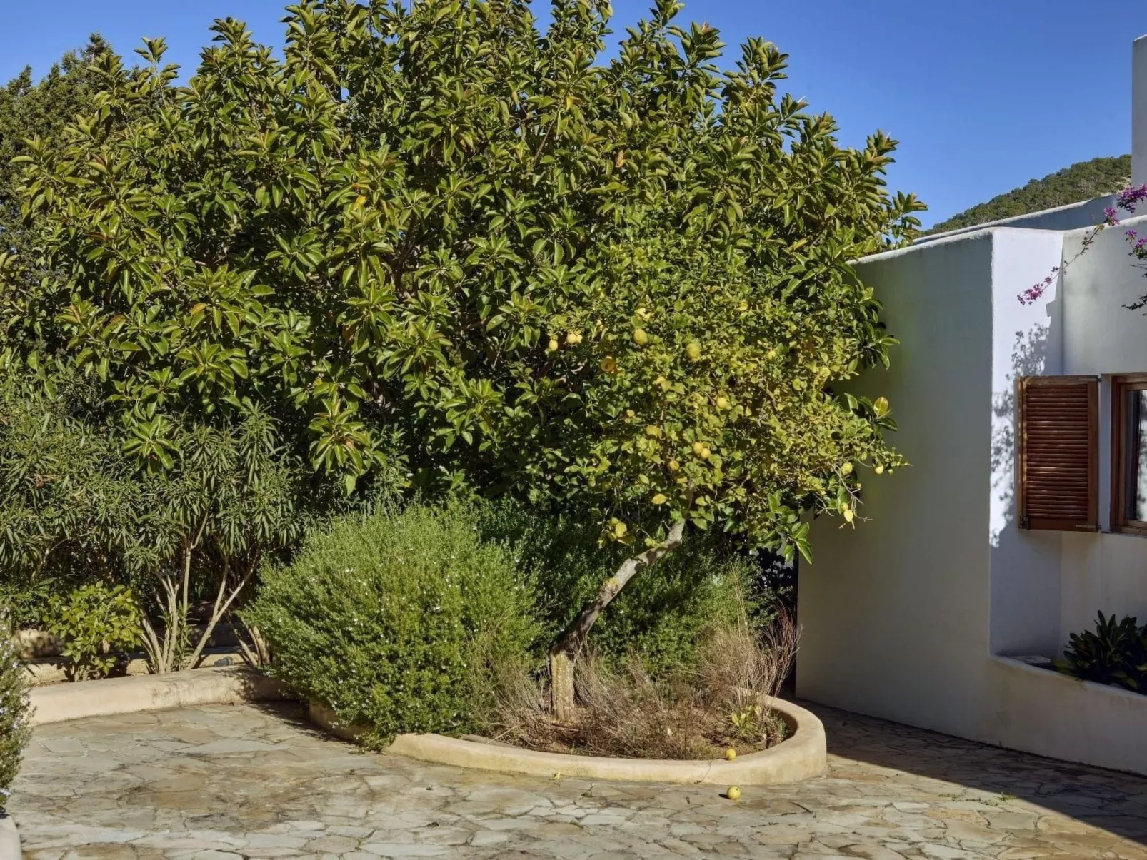 Can Managua - Image-tags.info