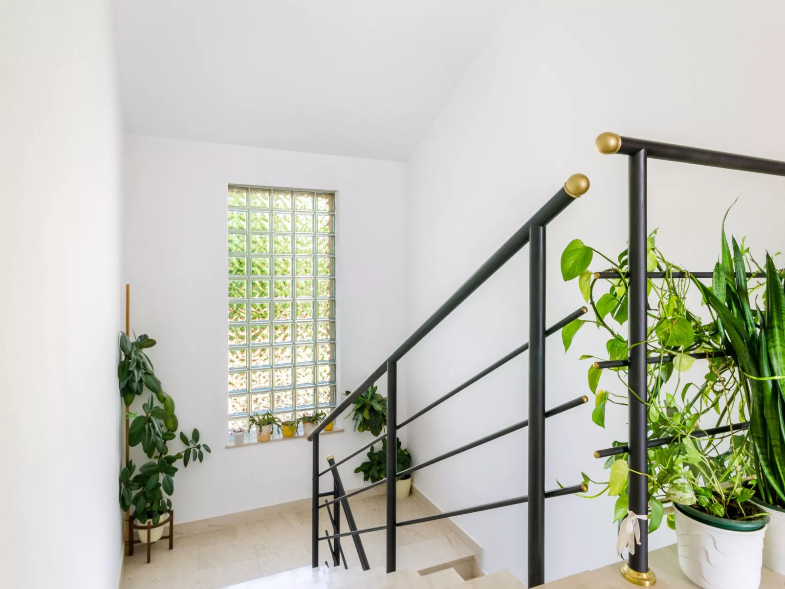 ANDELKO 3 / HR-02463-03 - Image-tags.info