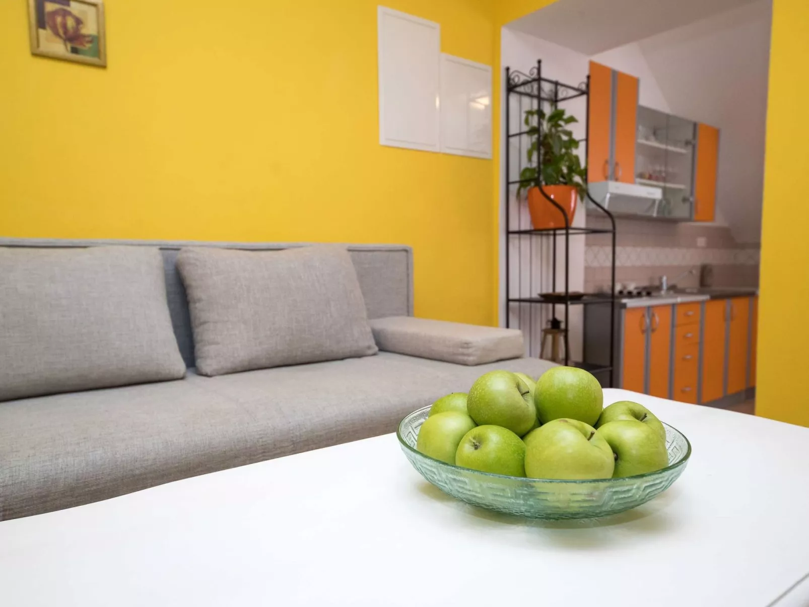 ADRIATIC prizemlje / HR-05738-01 - Image-tags.info