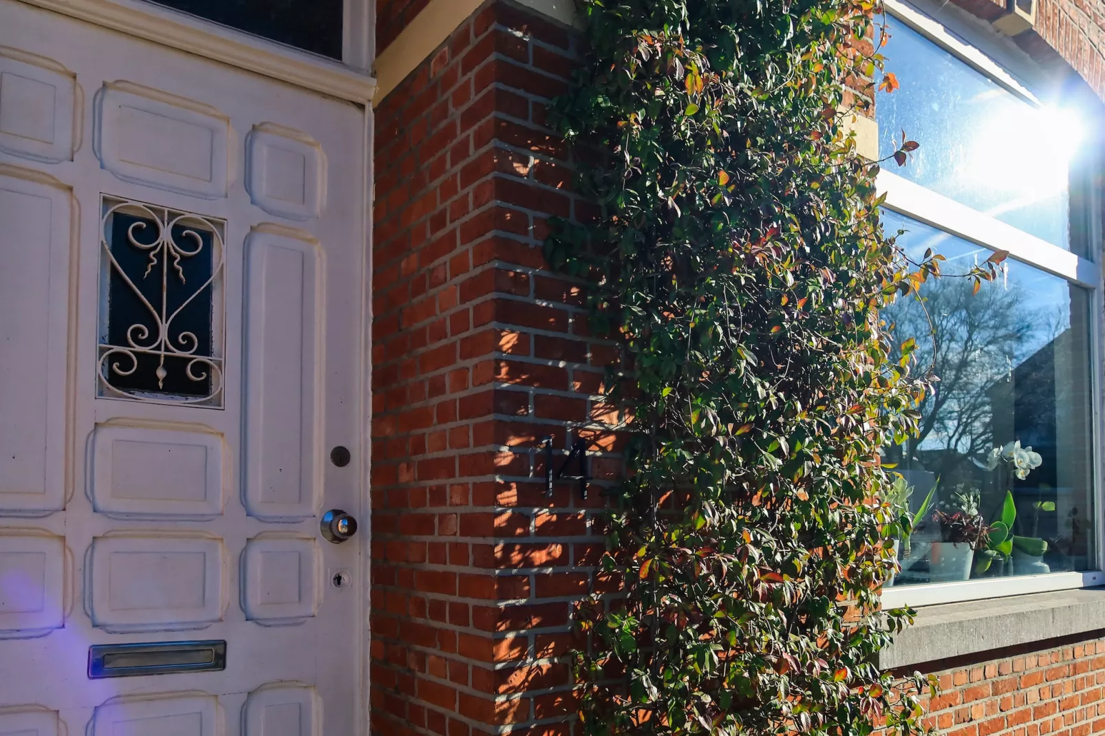 Cosy Courtyard House Hasselt - Außenbereich Sommer