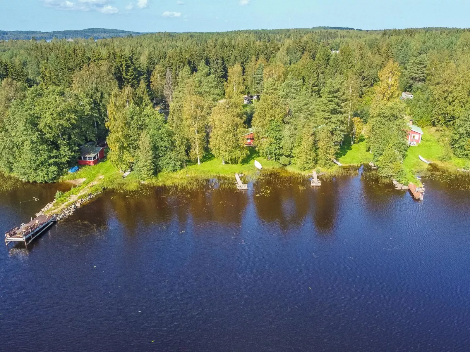 Saniainen 5 - Dedans