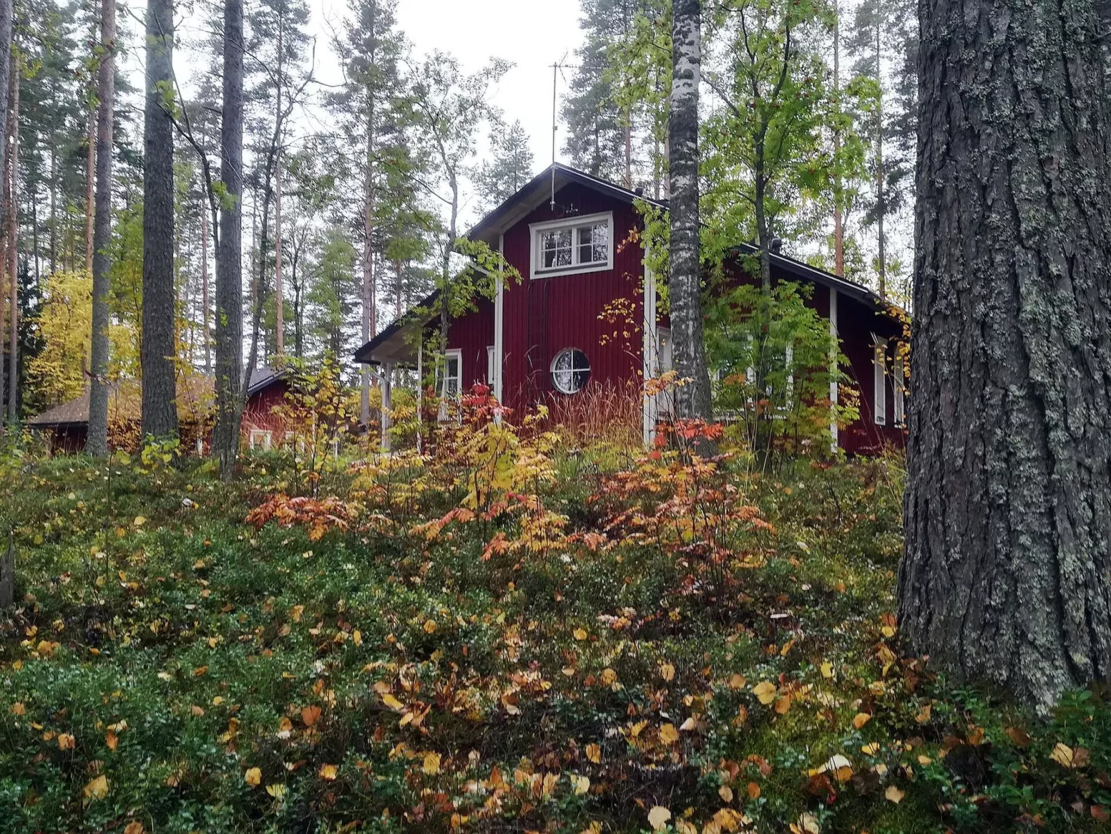 Villa raita - Dedans