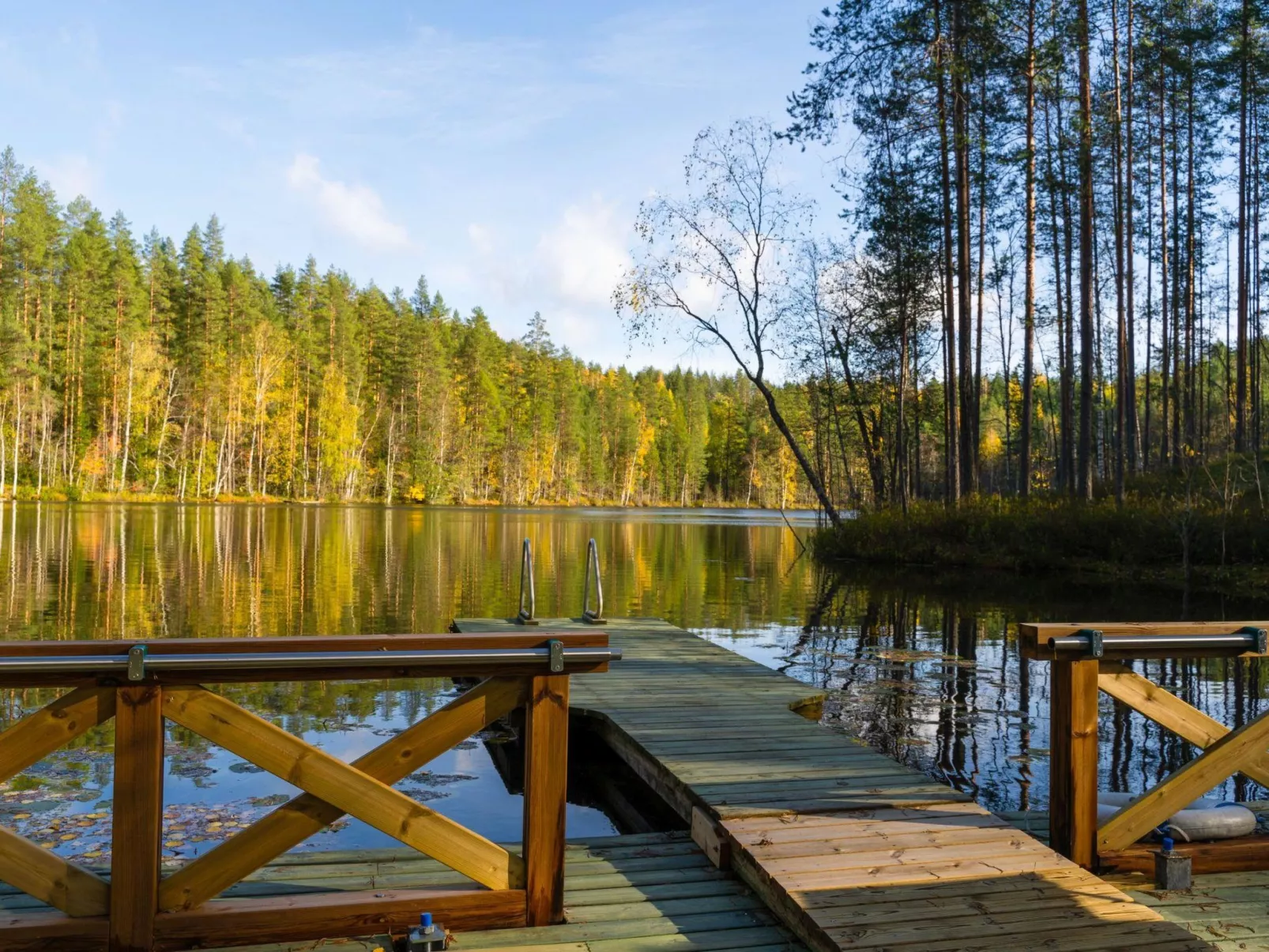 Villa tunturitervakko - Dedans