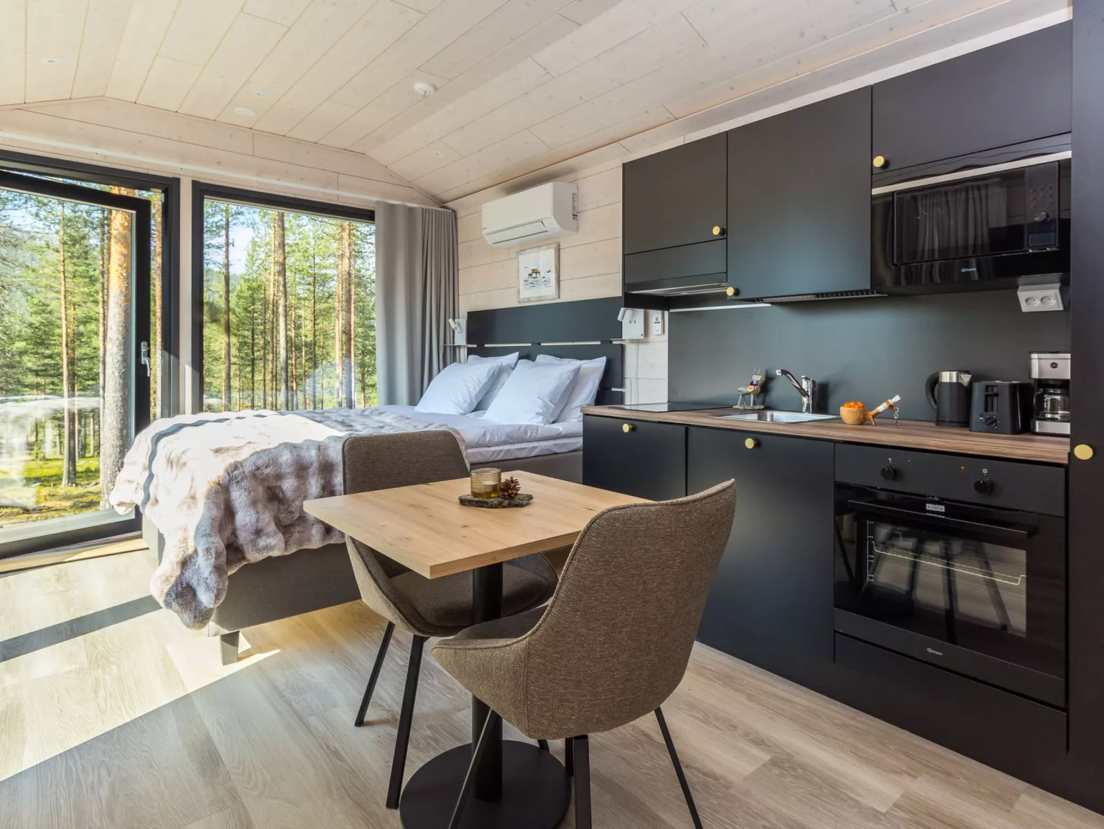 Visit pyhä cabins c - Dedans