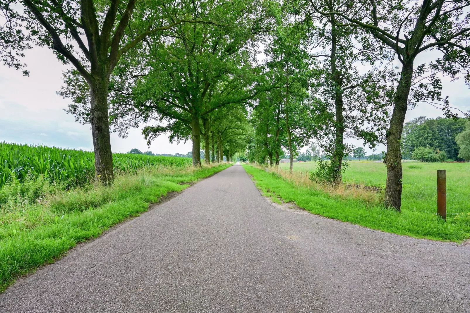 Welskerveen - 4 personen-Areas summer 5km