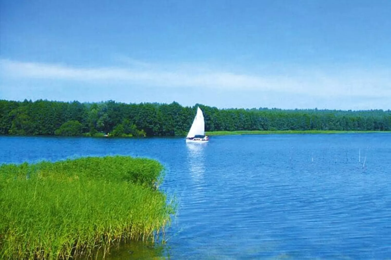 Domek letniskowy Dąbrowica-Water view