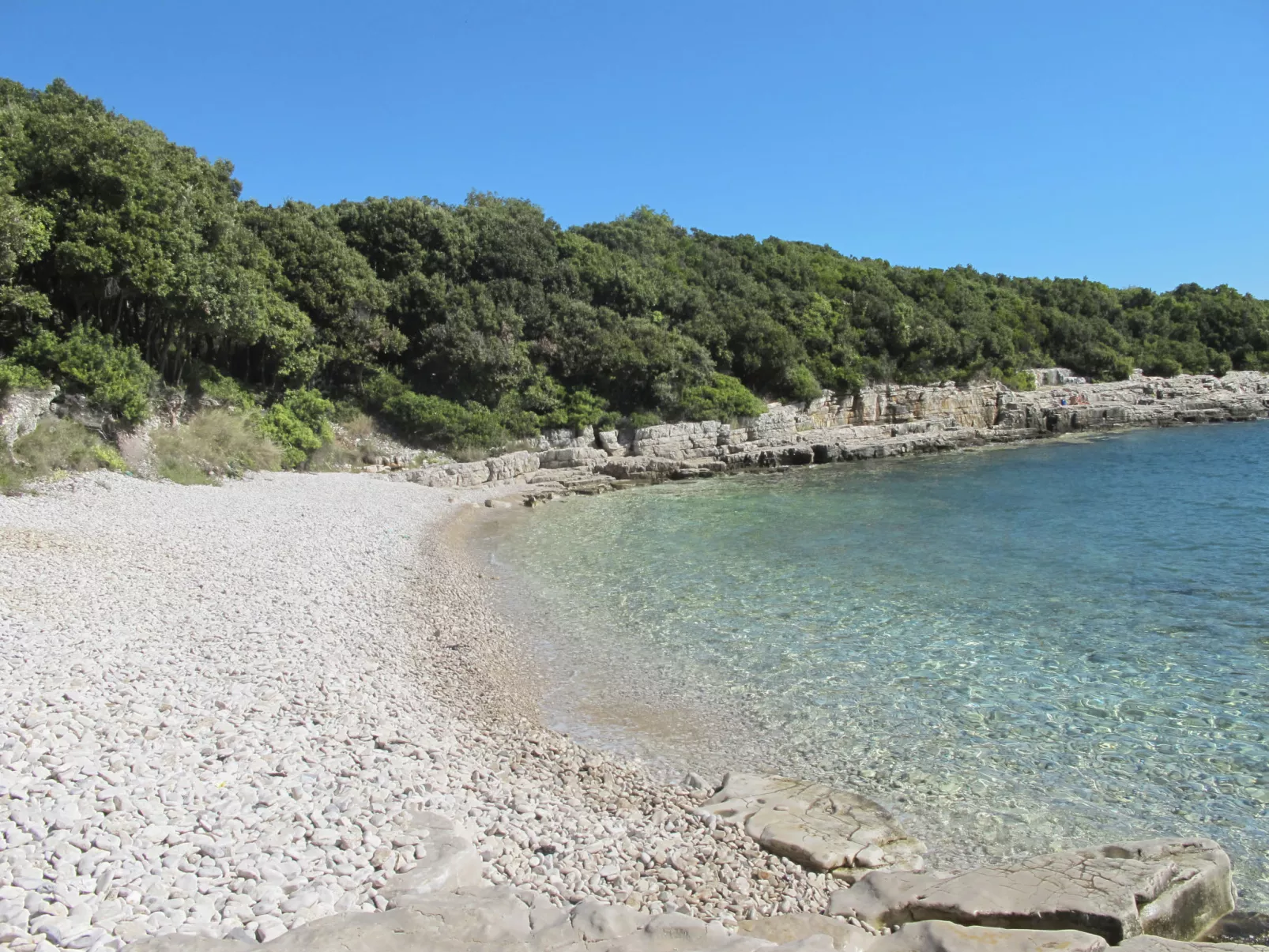 Villa Fiorina - Area