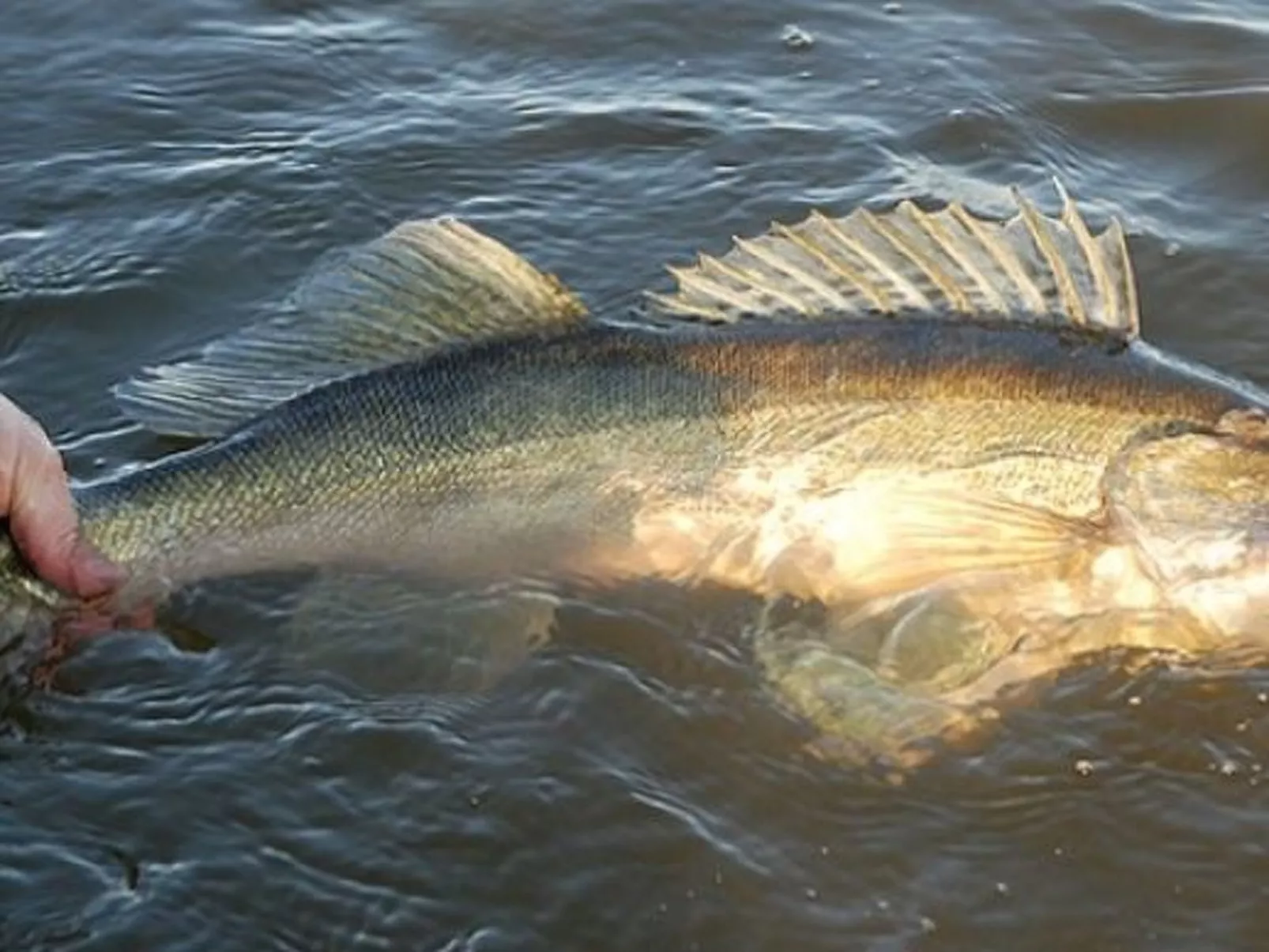 Cottage mit Whirlpool - Image-tags.info