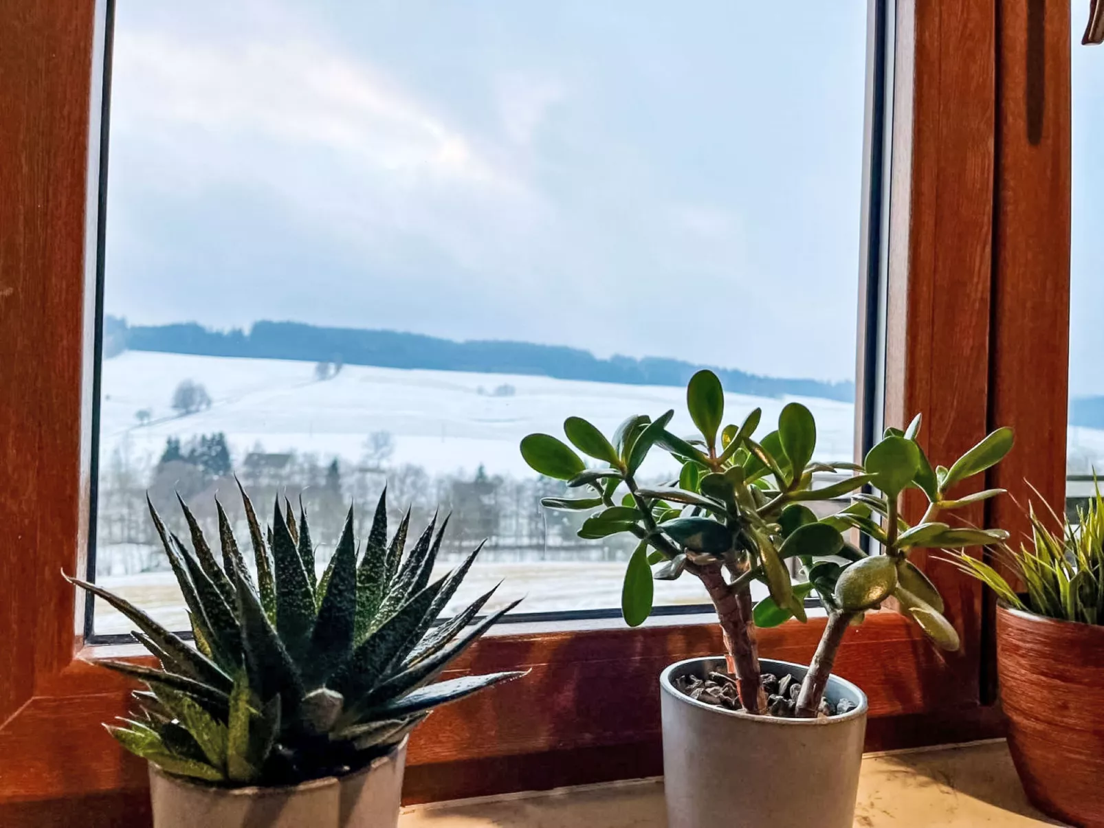 Green Valley Park Stárkov 21 - Dedans