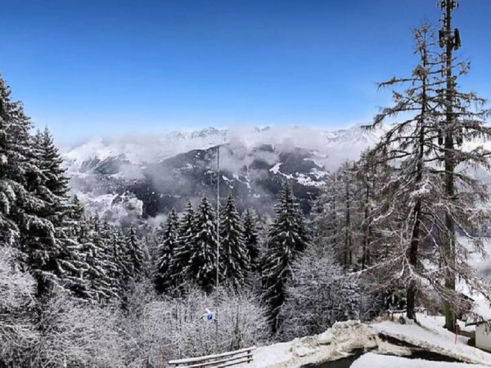 Le Rêve de nos Petites Marmottes - Dehors