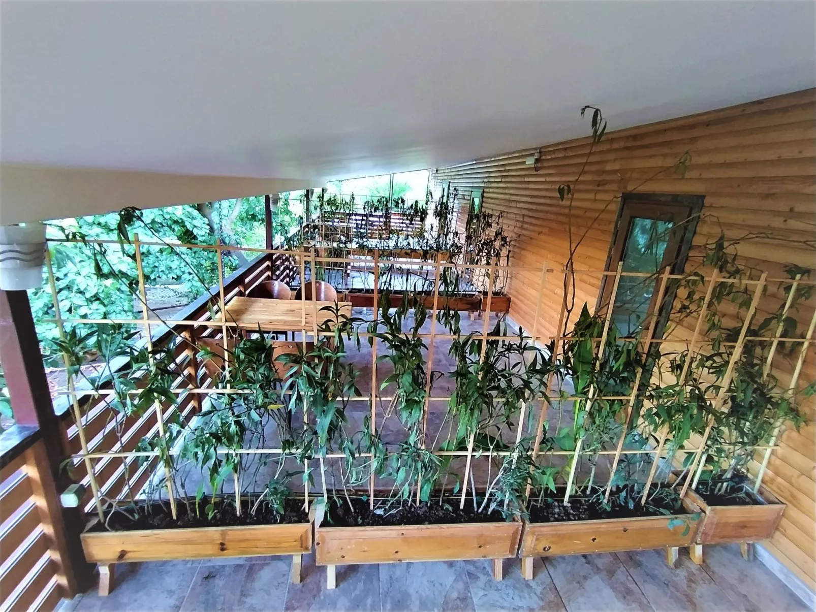 Luxuriöse Duplex-Wohnungen in Cirali - Dehors