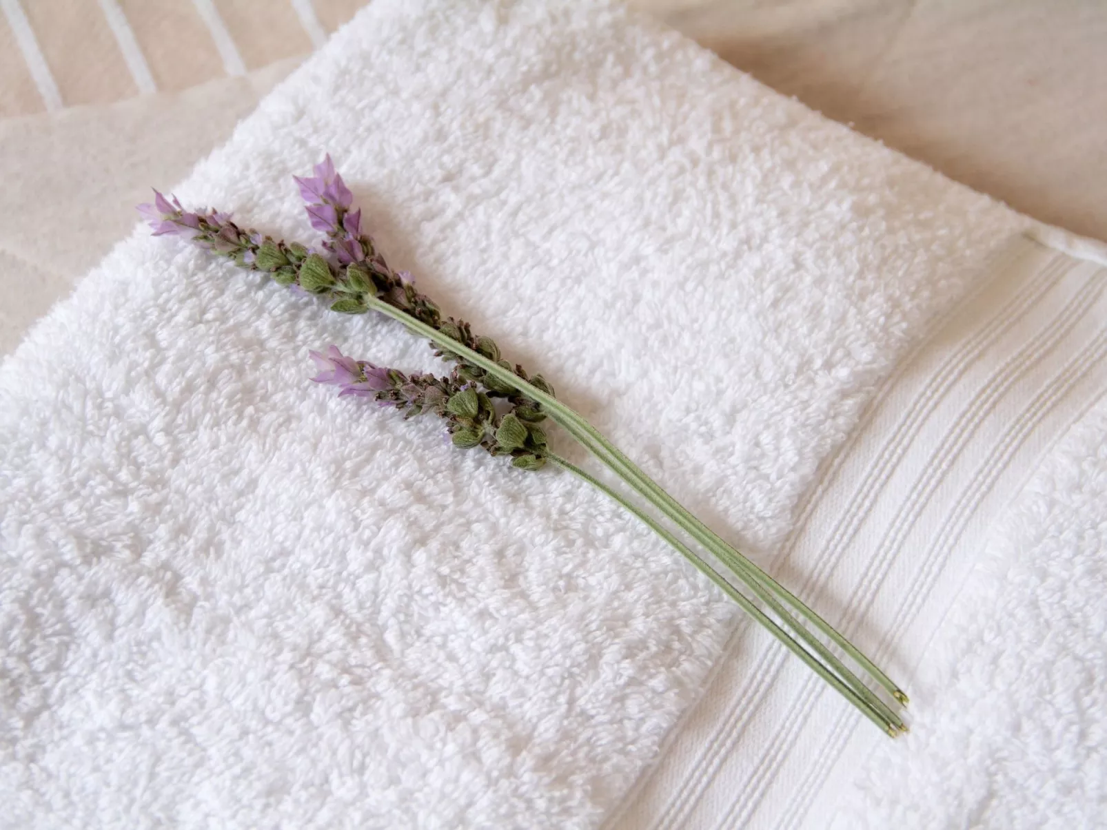 Haus Amador Sa Rapita - Image-tags.info