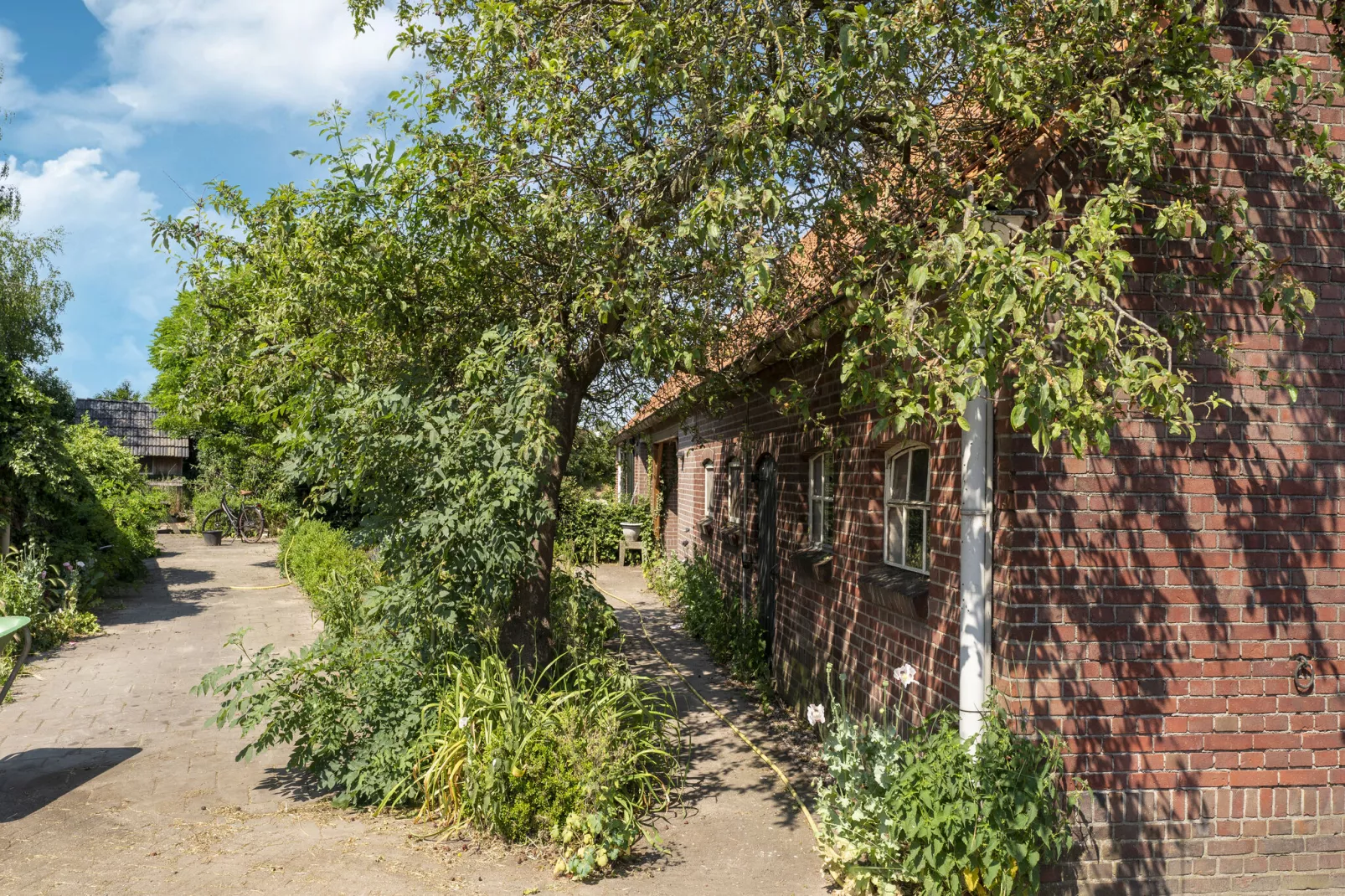 Vakantiewoning de Zwaluw-Gardens summer