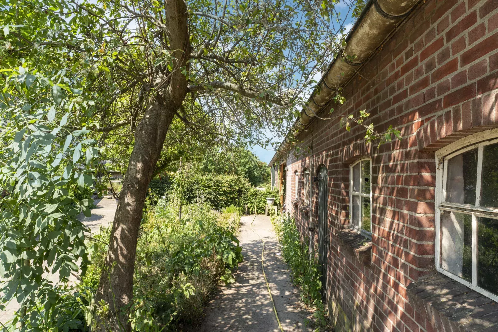 Vakantiewoning de Zwaluw-Gardens summer