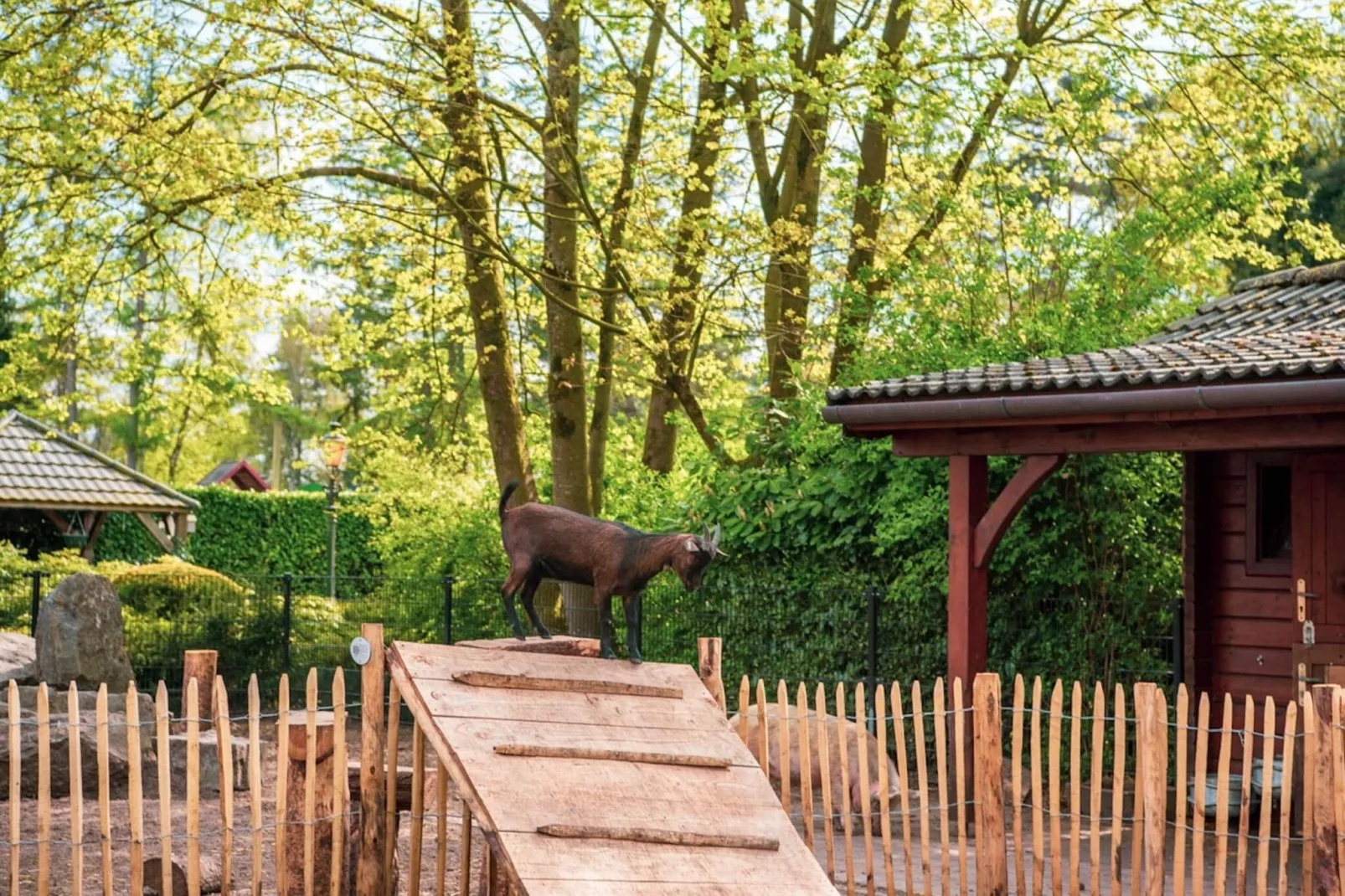 Resort De Achterhoek 33-Park facilities