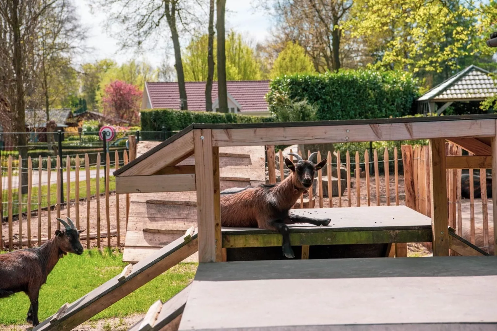 Resort De Achterhoek 33-Park facilities