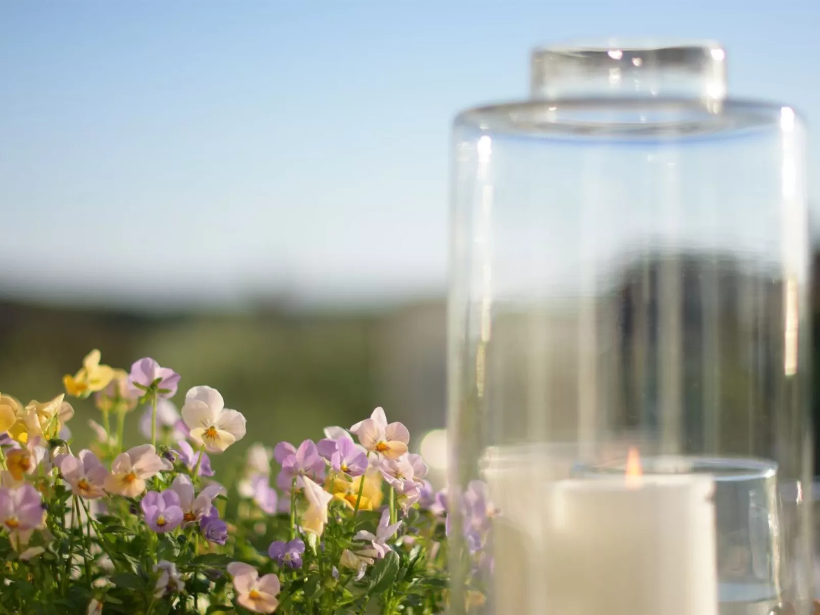 "Walderik" - 423m from the sea - Inside