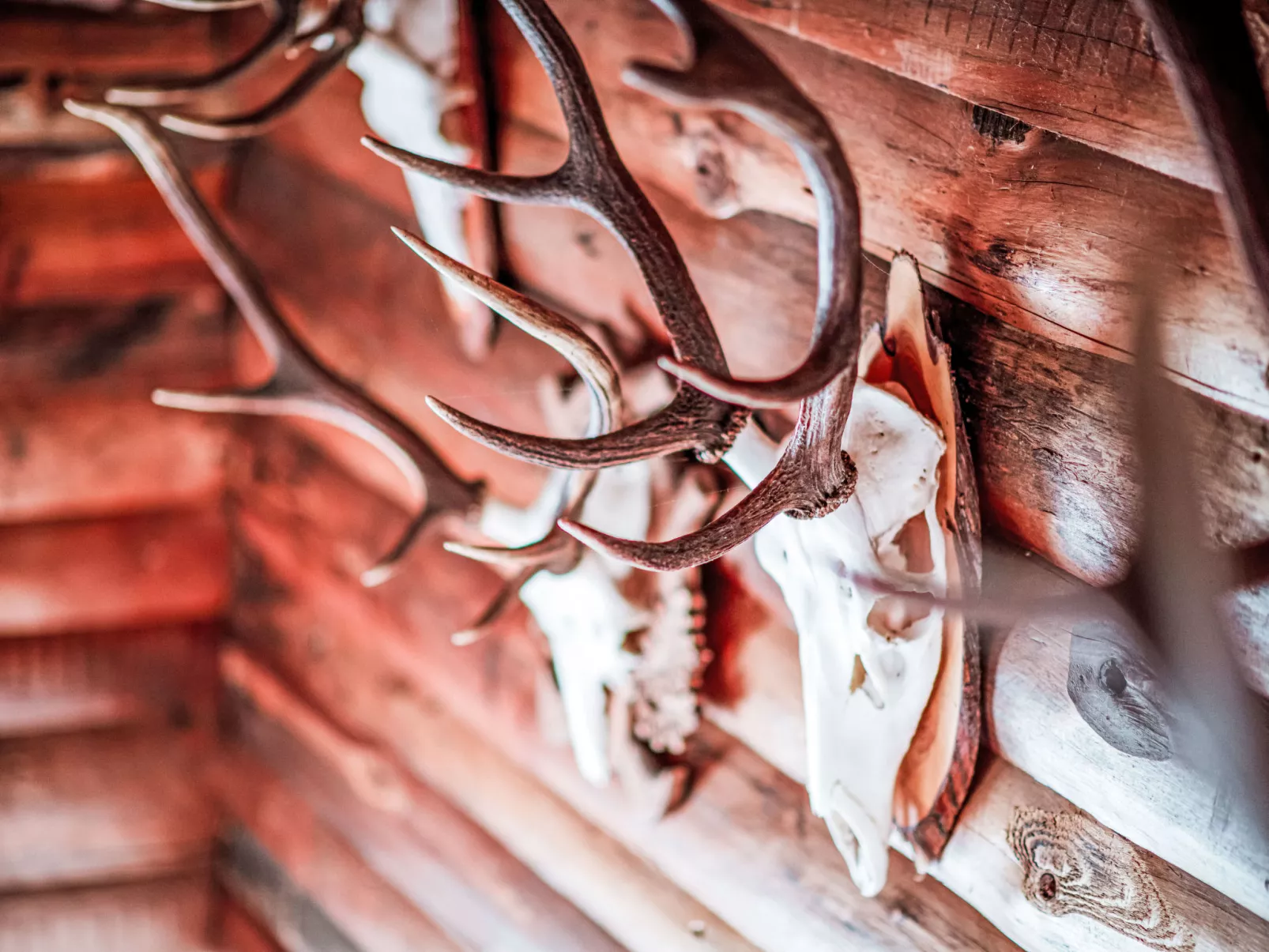Ferienwohnung Gartenblick - Dedans