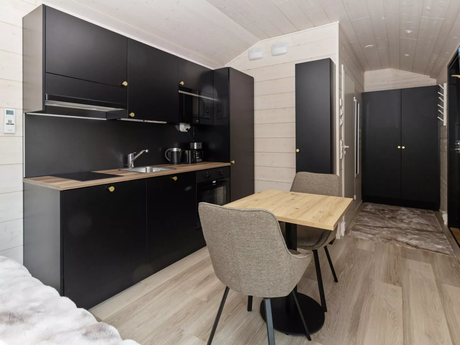 Visit pyhä cabins f - Drinnen