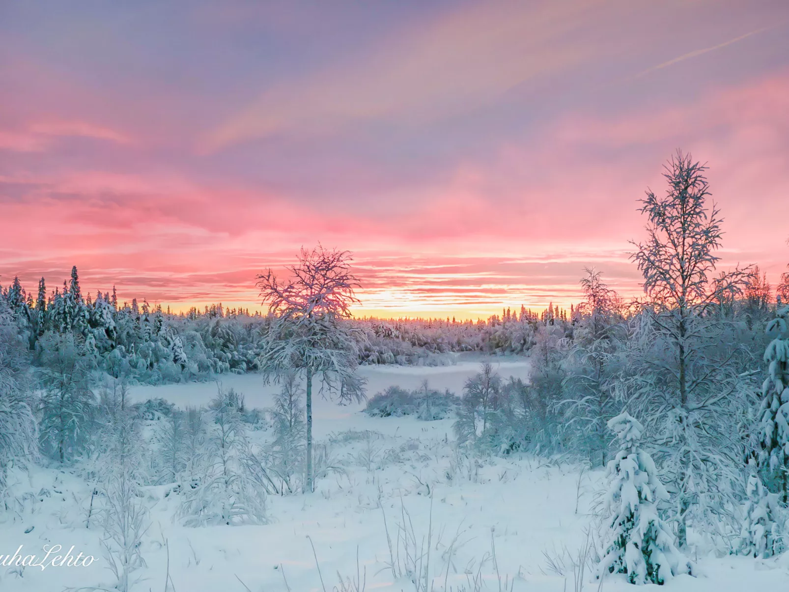 Lauhalehto - Drinnen