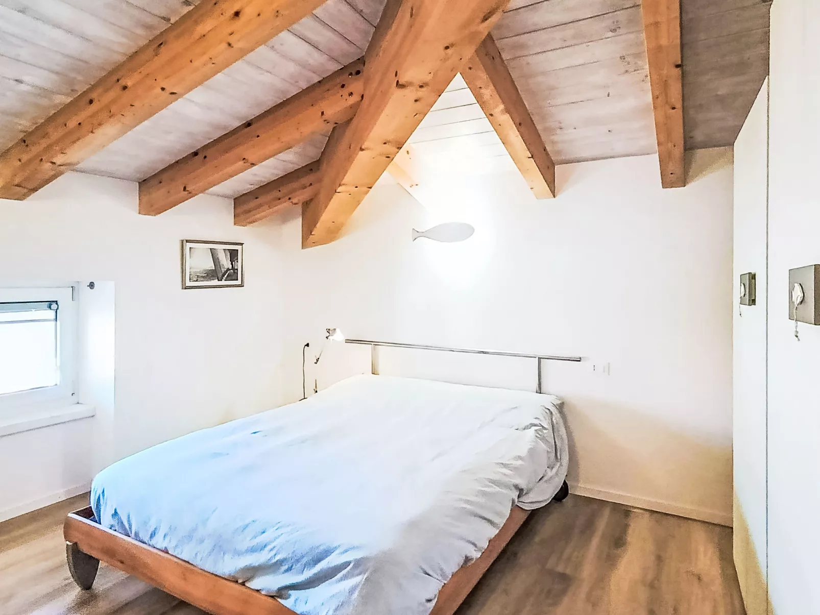 Tra gli Ulivi - Dedans