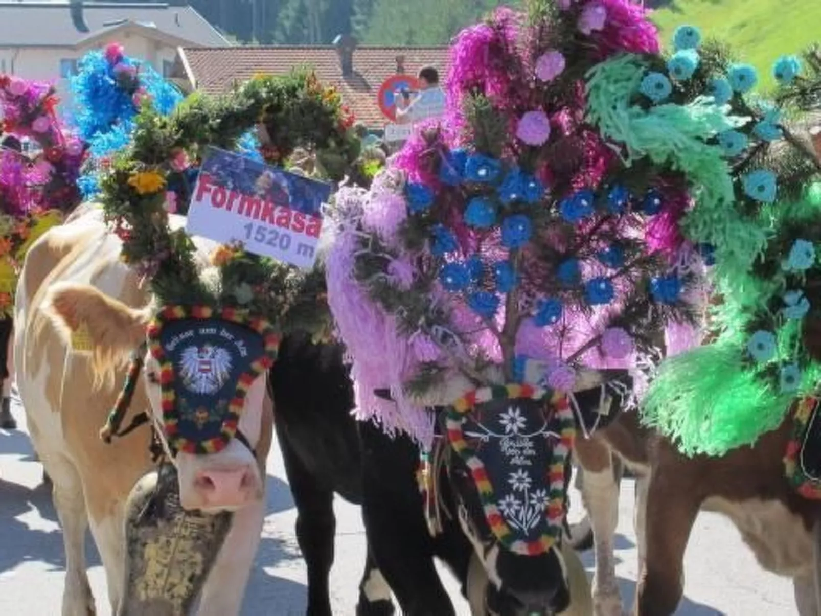 Rosskopf - Image-tags.info