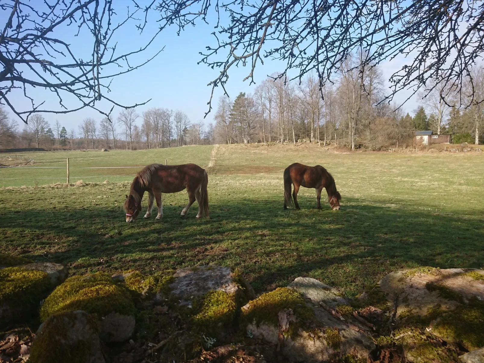 Cottage mit Whirlpool - Outside