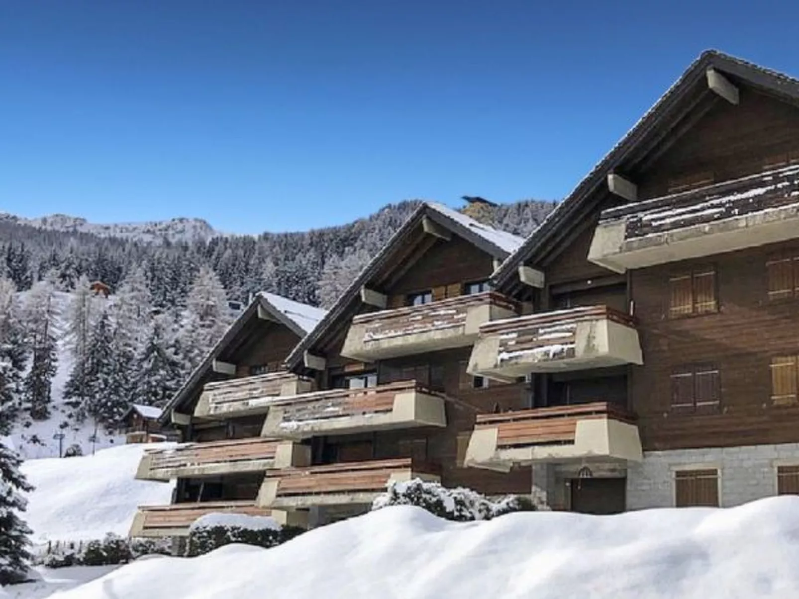 Le Rêve de nos Petites Marmottes - Dehors