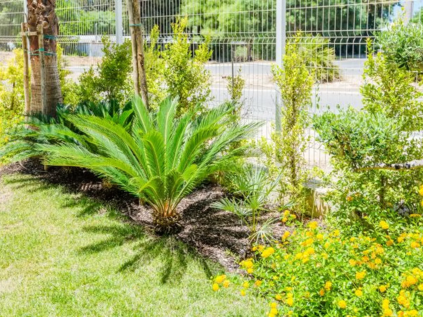 Lakes 24 at Praia da Falesia Vilamoura - Outside