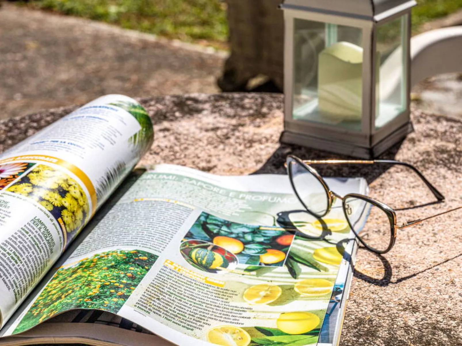 La Pineta Holiday Homes - Dehors