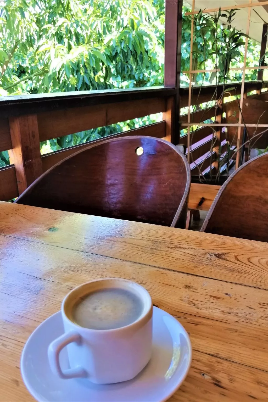 Luxuriöse Duplex-Wohnungen in Cirali - Dedans