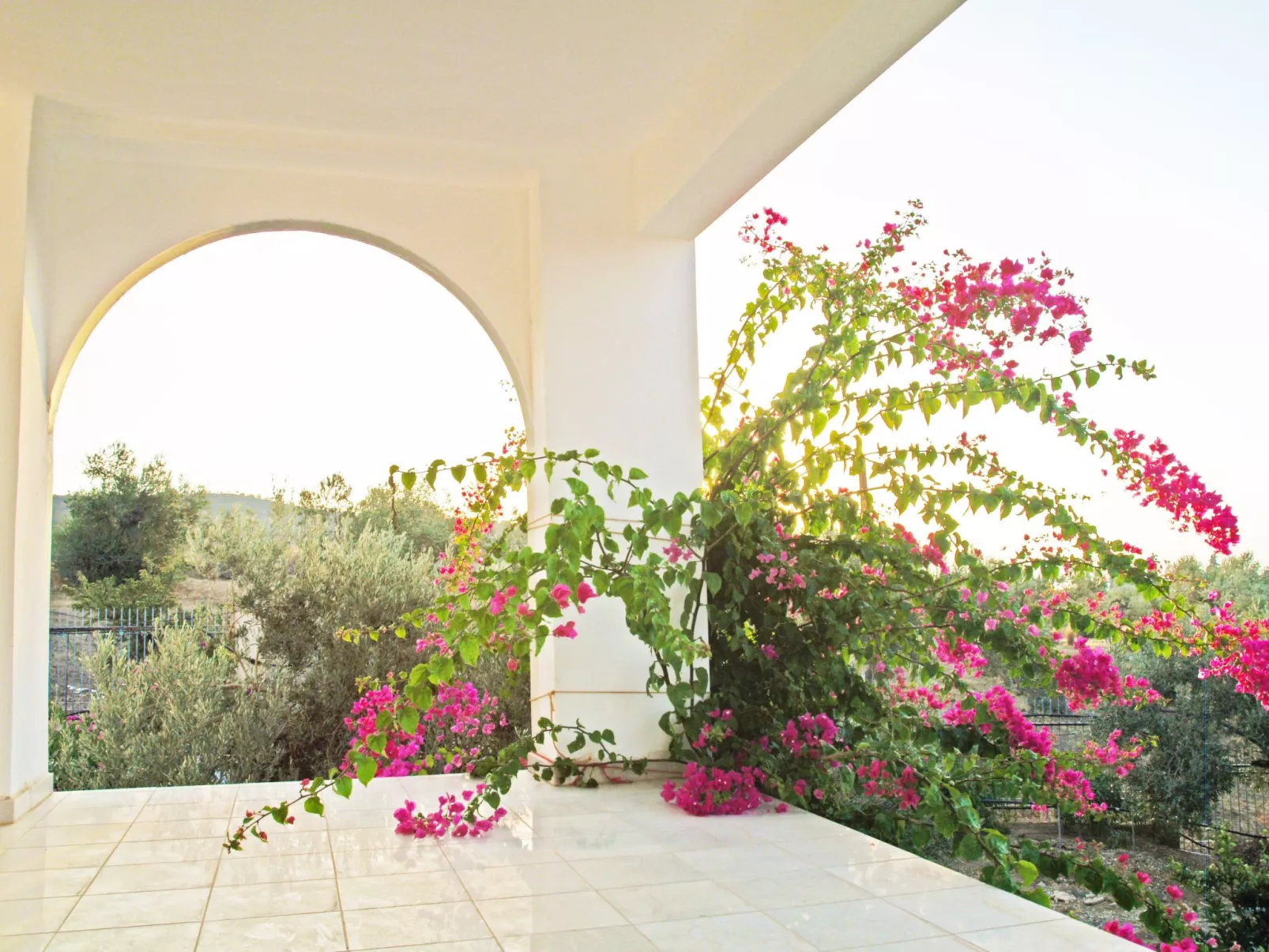 In Ermioni mit Garten, gemeinschaftlichem Pool und Terrasse - Draußen