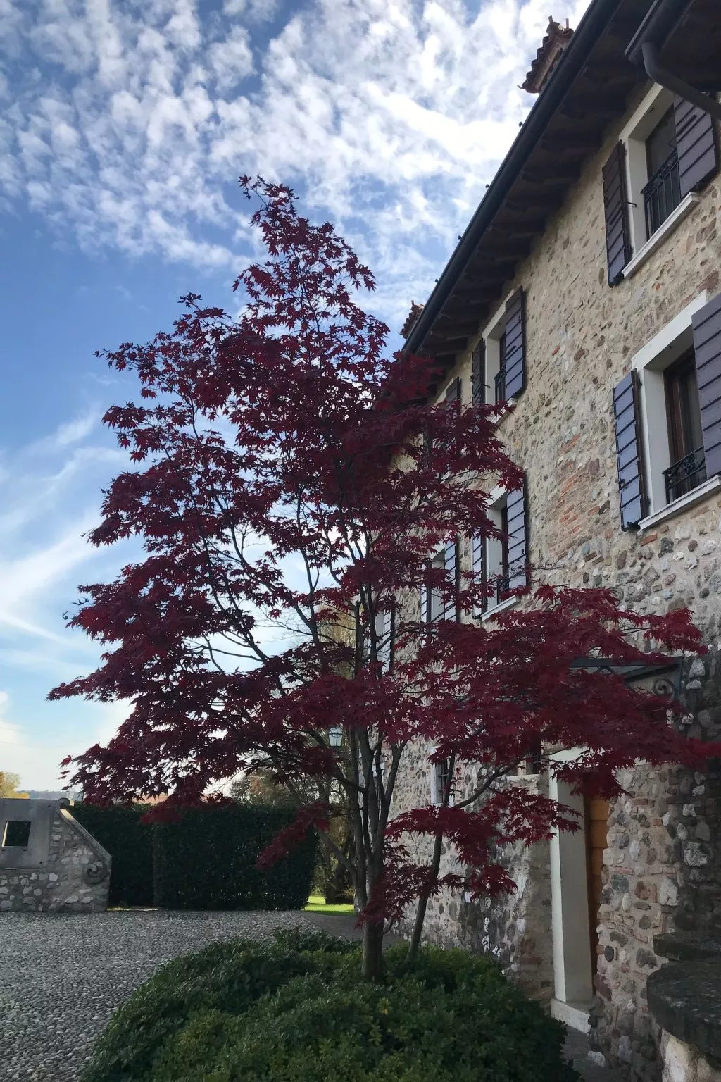 Kamera Arancio - Draußen