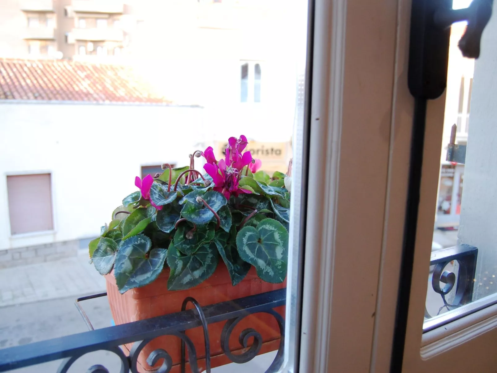 Gemütliche Zimmer im Herzen von Olbia - Image-tags.info