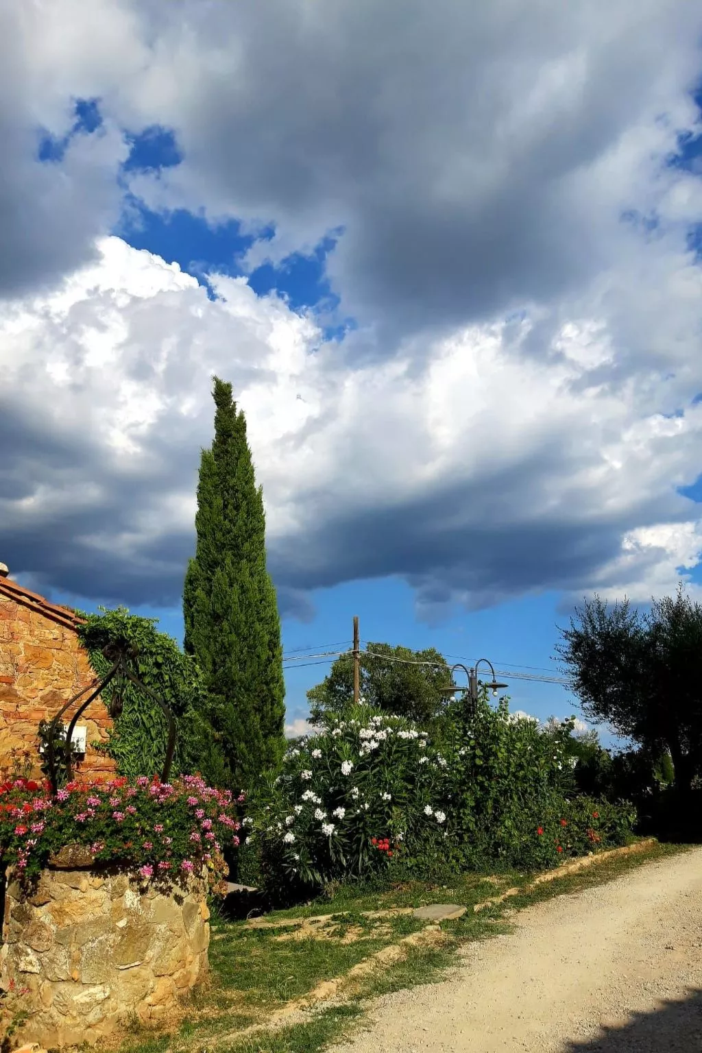 Gästezimmer 2 - Draußen