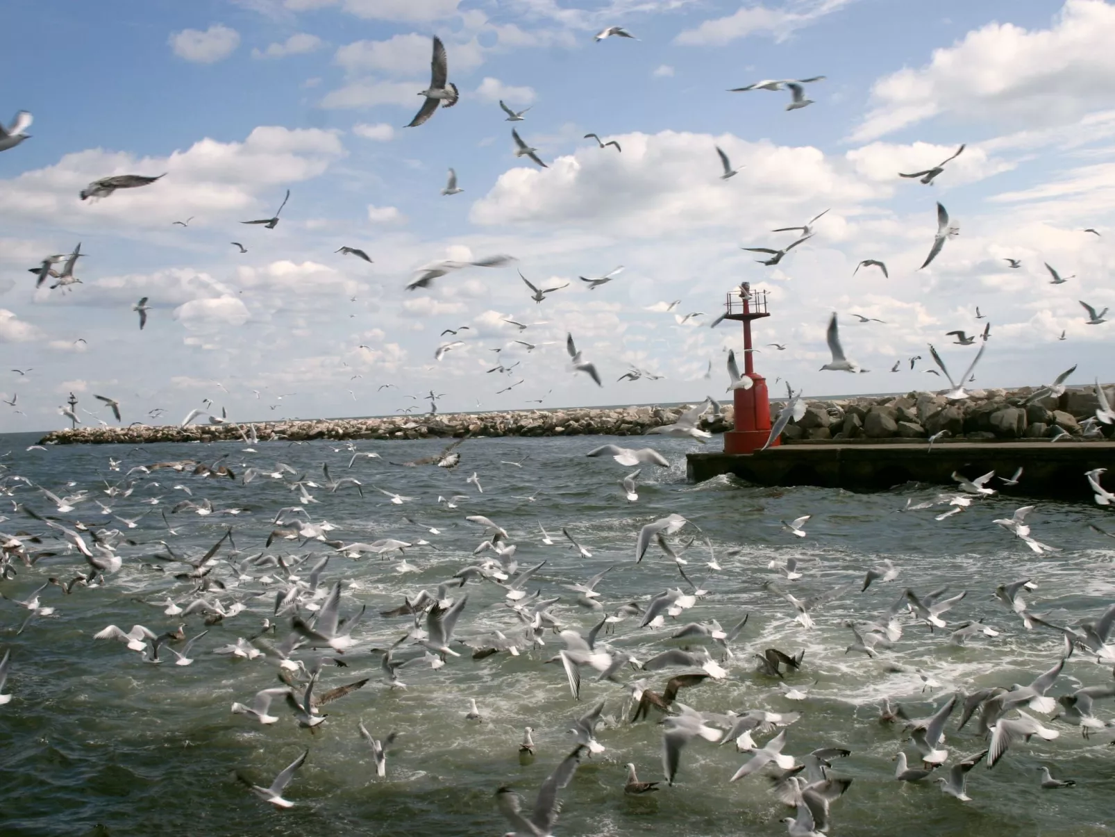 Haus in Lido Di Volano mit Terrasse, Garten und Grillplatz - Image-tags.info