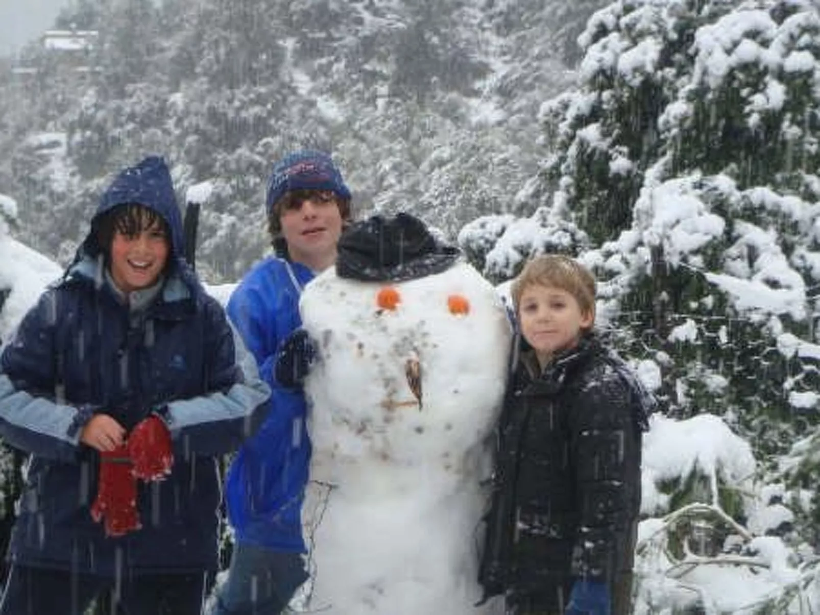 Berghütte in meeresnähe, ideal für ausflüge in die tramuntana-berge. - Image-tags.info