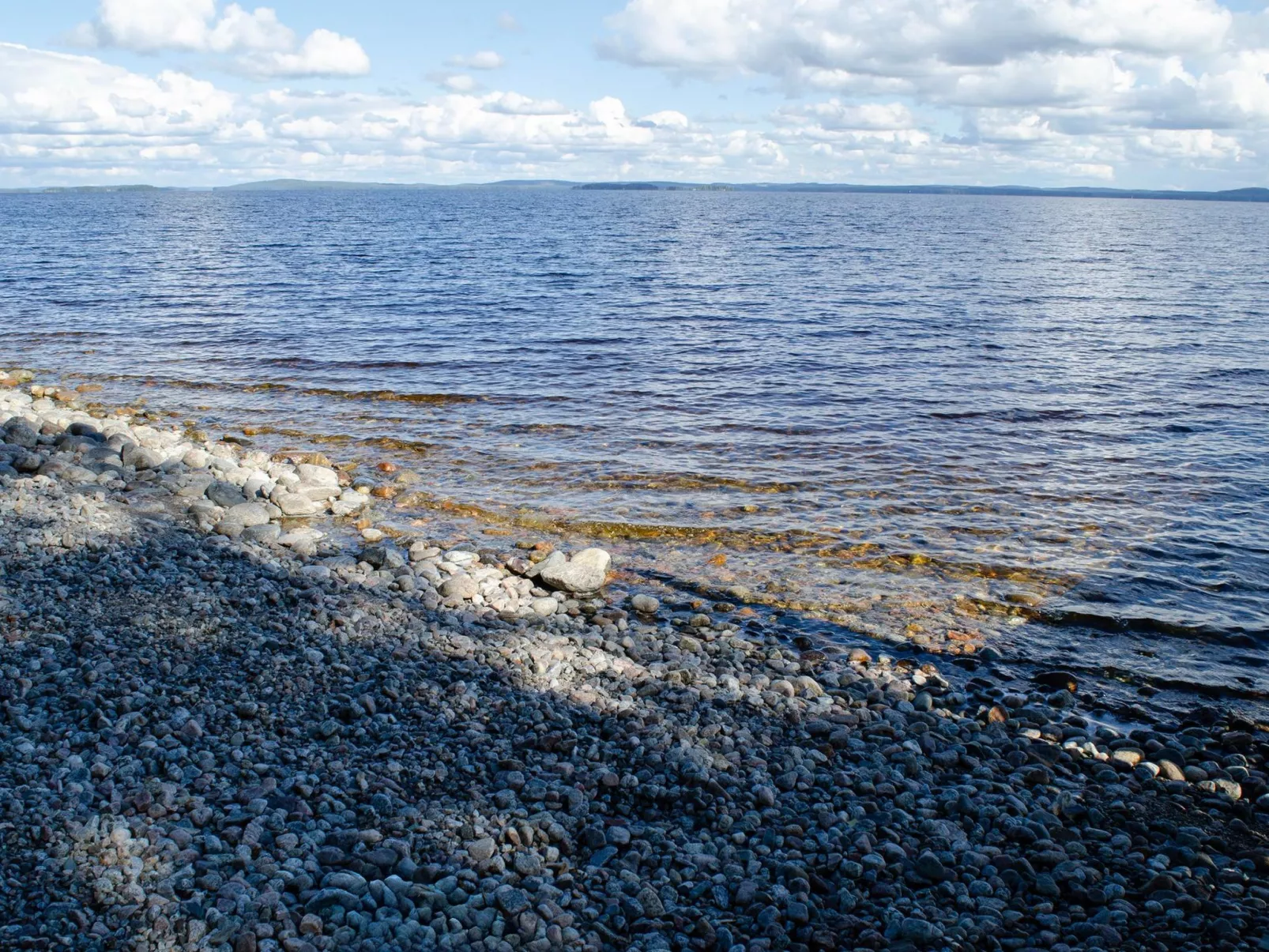 Kolin vernetti 1 - Dedans