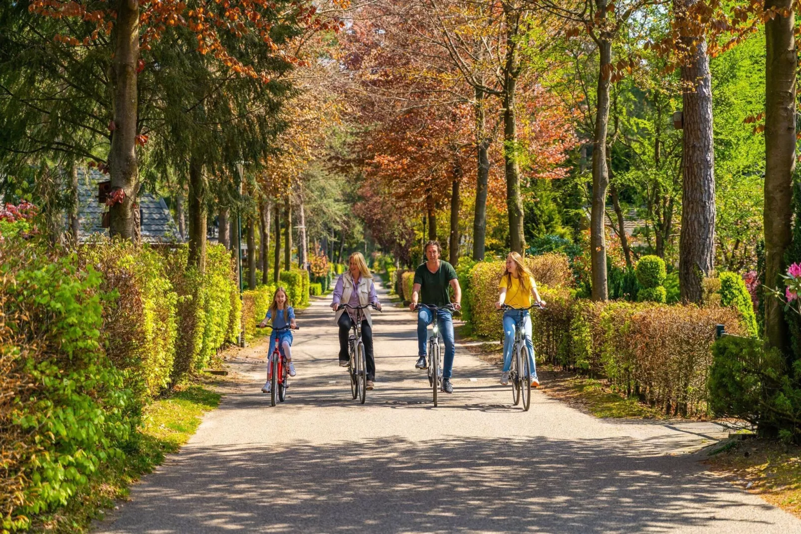 Resort Beekbergen 1-Park facilities