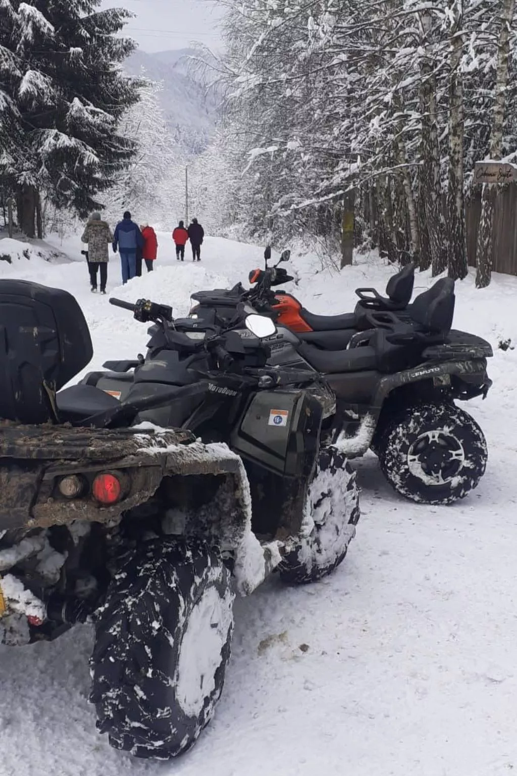 Vila Roberta Breaza Brasov - Outside