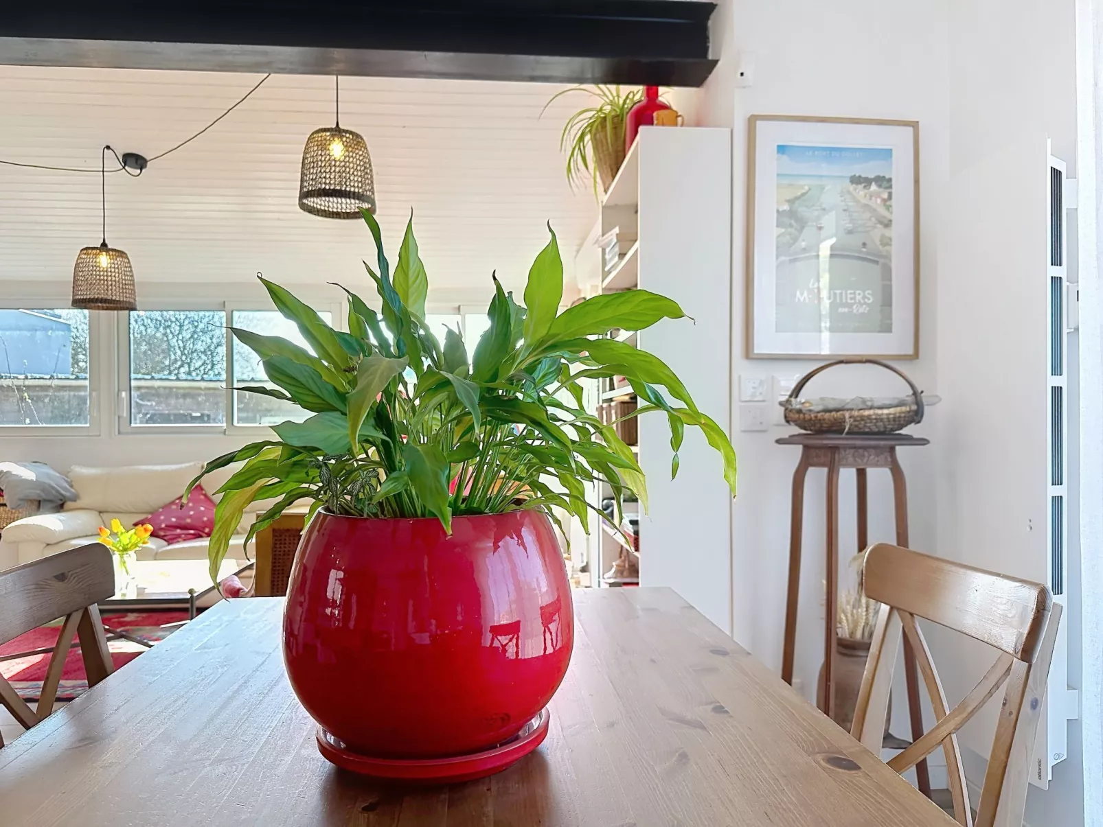 Les Rainettes - Drinnen