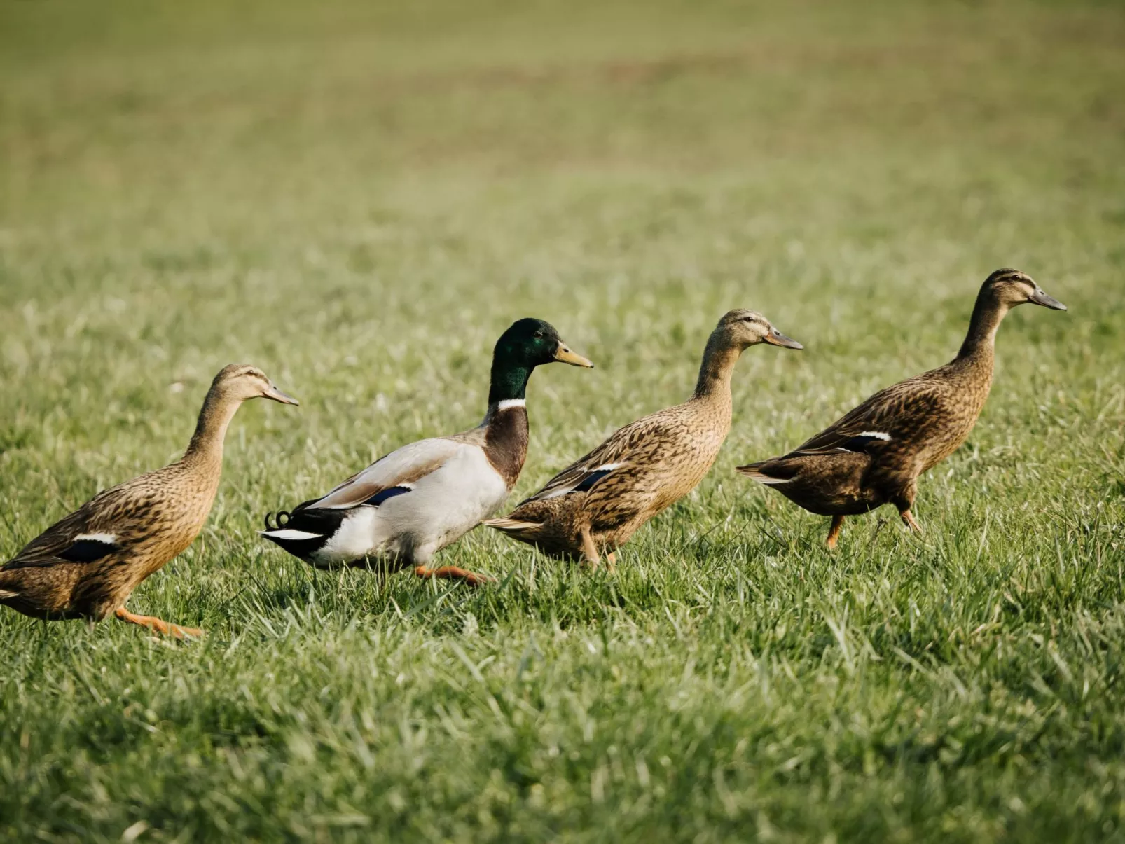 Hof Obertalgut - Draußen