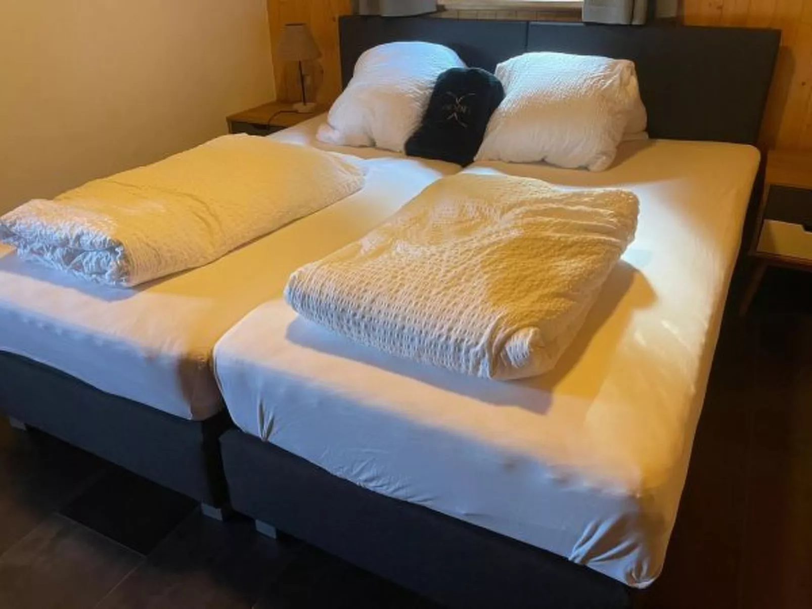 Tiny House facing the Alps - Ski in and out - Inside