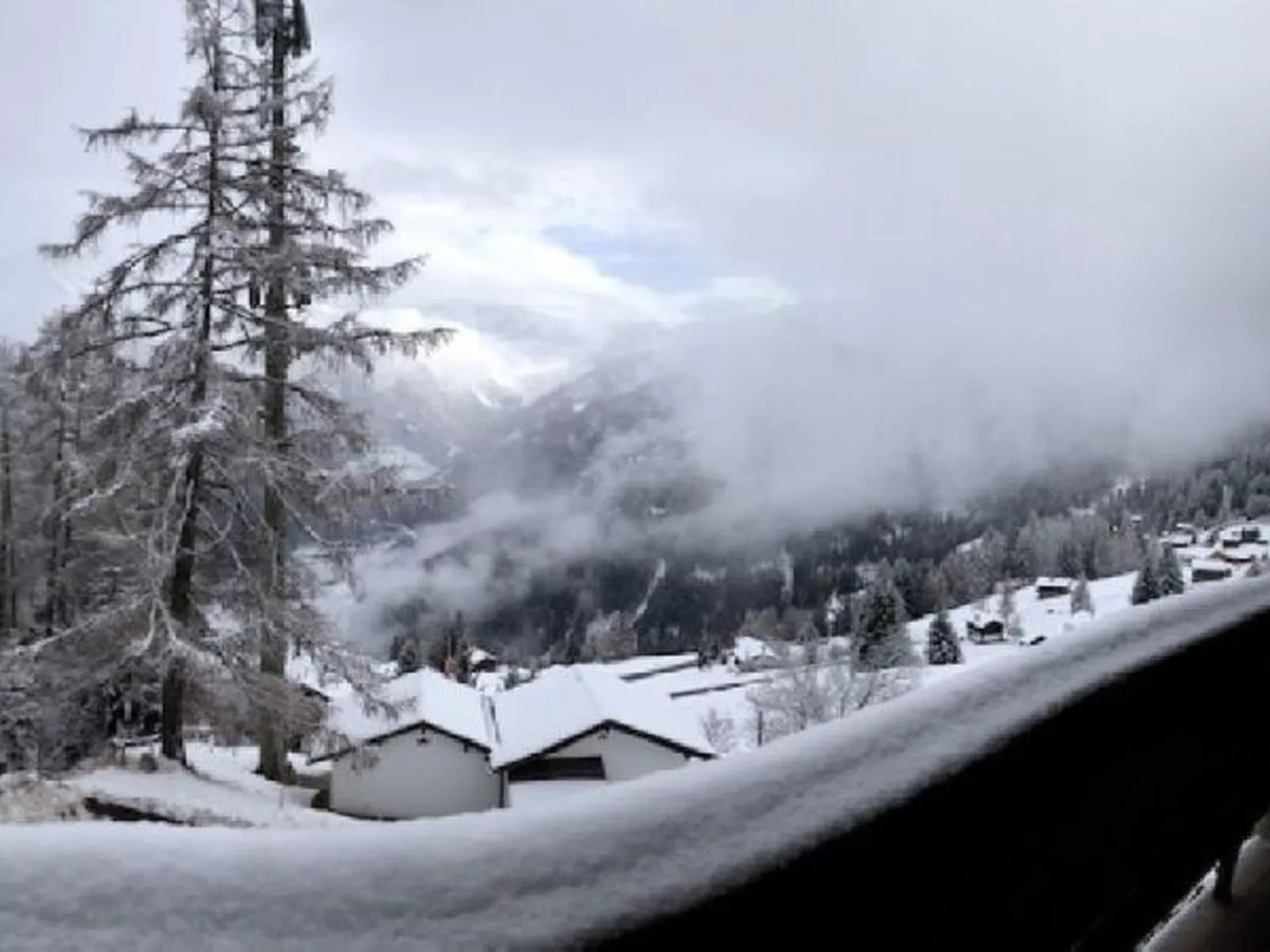 Le Rêve de nos Petites Marmottes - Dehors